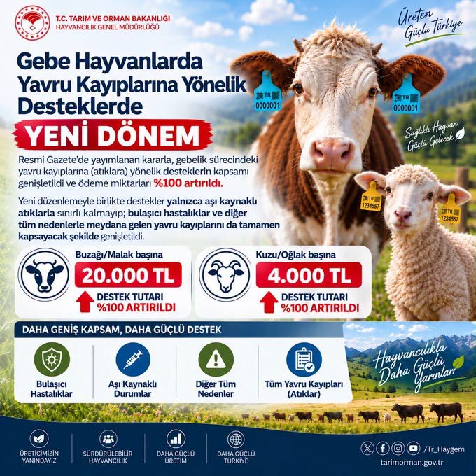 Yavru Kayıplarına Karşı Hayvancılık Desteklerinde Büyük Değişim: Tutar %100 Artıyor