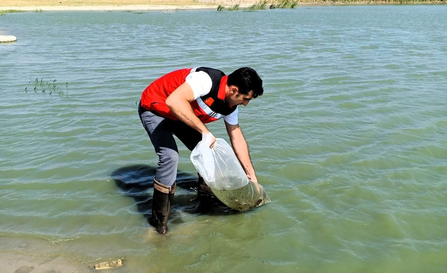 Hayrabolu’da göletler canlanıyor