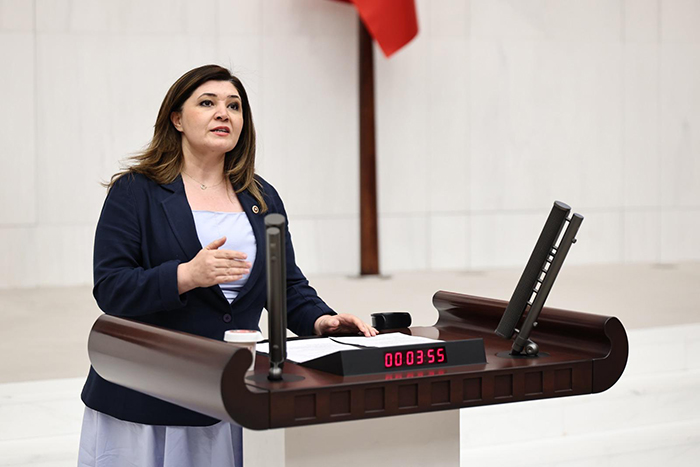 Taşçı’dan Nükleer Projesi İçin TBMM’ye Önerge