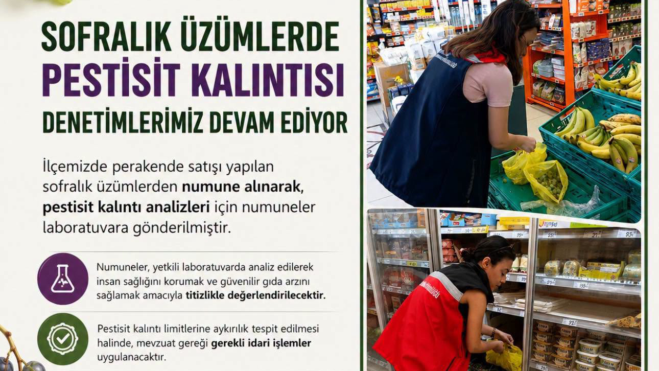 Sofralık Üzümlerde Pestisit Denetimleri Sürüyor