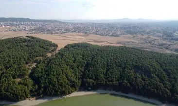 Edirne Valiliği açıkladı: Şehirde ormana girişler 15 Ekim'e kadar yasaklandı 150w